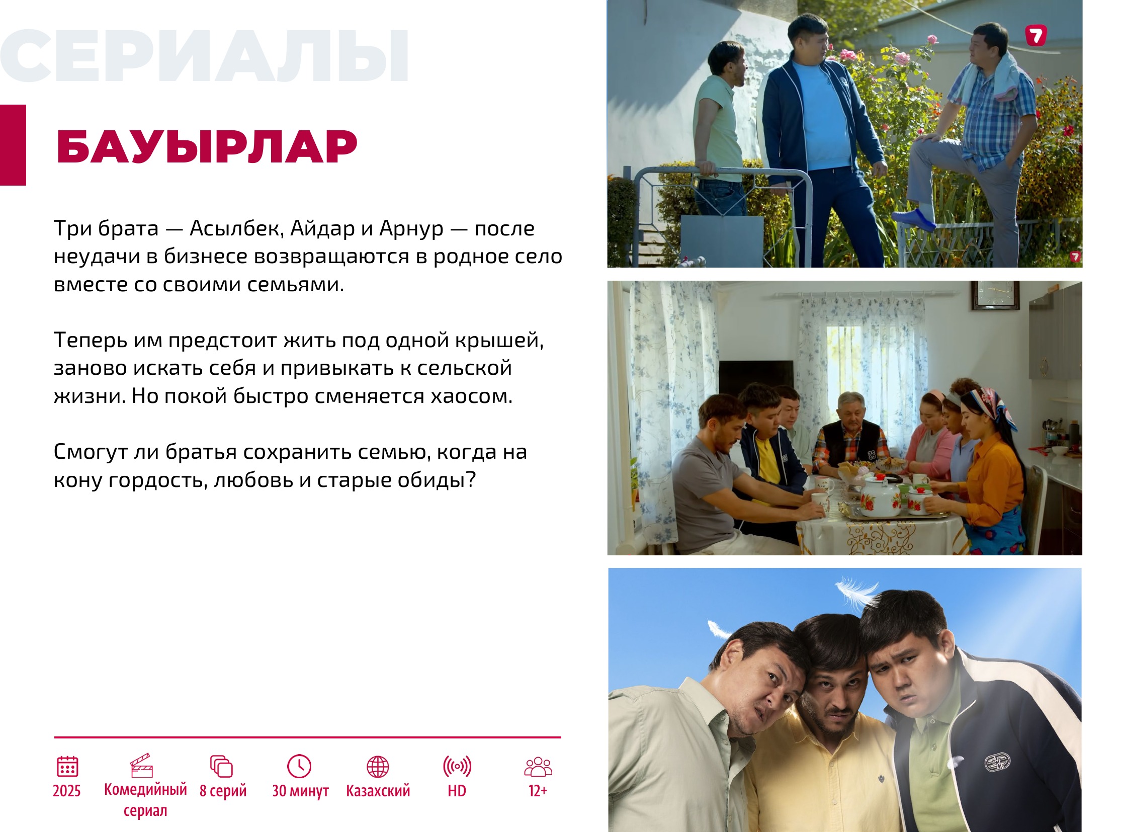 Каталог 2026 — страница 13