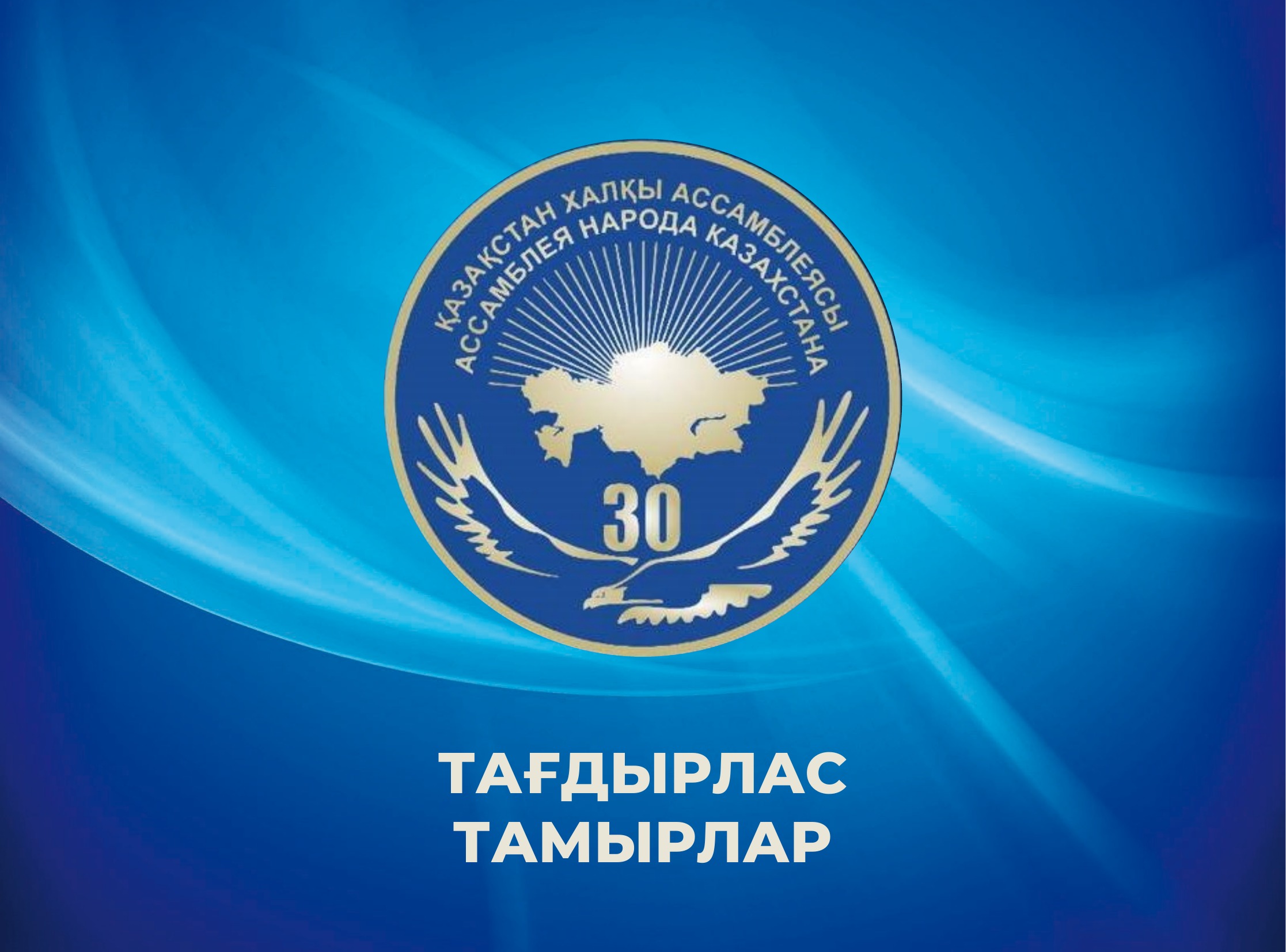 Каталог 2026 — страница 64
