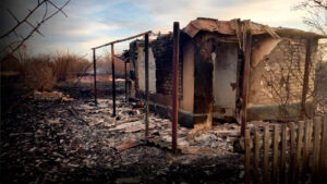 Более 60 дачных участков сгорели в Караганде