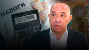 «Это очень низкий показатель»: что не так с налогооблажением в Казахстане?