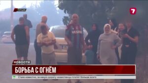 Арестован мужчина, по вине которого вспыхнул масштабный лесной пожар в Турции