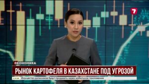 Рынок картофеля в Казахстане на грани кризиса