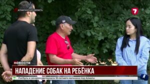 На футбольном поле в селе Жалпаксай на 10-летнего мальчика напали три собаки