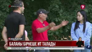 Алматы облысында 10 жастағы баланы ит талап тастады
