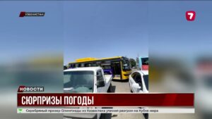 Аномальная погода по всему миру -в Турции не могут потушить пожар, в Москве сильное похолодание