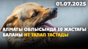 Алматы облысында 10 жастағы баланы ит талап тастады | 01.07.2025
