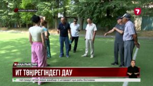 Иттен құтқарғаны үшін жауапқа тартпақ – жұрт наразы