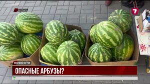 Арбузы на прилавках: радуют вкусом, но пугают скороспелостью — безопасны ли они?