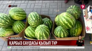 Қарбыз ерте піскен бе әлде дәрімен өсірілген бе?
