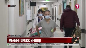 Алматыда менингококк инфекциясының 7 жағдайы тіркелді