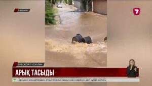 Канал тасыды, әкімдік үнсіз: Шымкент тұрғындары көмек күтуде