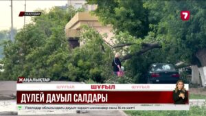 Павлодардағы дүлей дауылдан бір адам қаза тапты