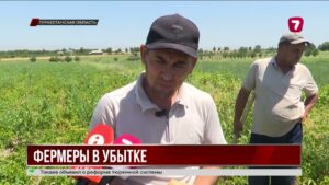 В Сайрамском районе фермеры терпят миллионные убытки из-за нехватки воды