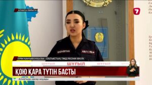 Алматы облысындағы қоқыс полигонында өрт шықты