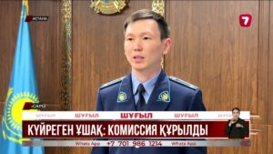 Астана іргесіндегі ұшақ апаты: қылмыстық іс қозғалды