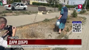 В Сатпаеве еловую аллею спасает пенсионерка