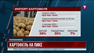 Импорт картофеля в Казахстан в апреле побил рекорд