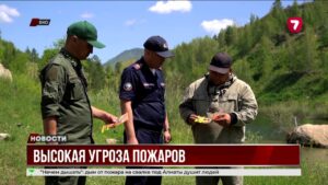 Восточный Казахстан в зоне высокой пожарной опасности