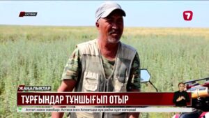 Ақтөбе облысында ауыл тұрғындары құс саңғырығының иісінен тұншығып жатыр
