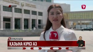 Салық көбейді, кіріс азайды: Ұлттық қор тағы жәрдемдесті