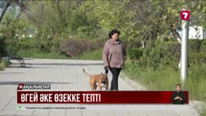 Ақтауда 16 жастағы қызды өгей әкесі таяқтың астына алған