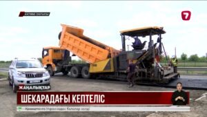 Ресеймен шекарадағы электронды кезек жүк тасымалдаушыларды әбігерге салды