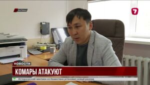 Жители Балхаша жалуются на нашествие комаров