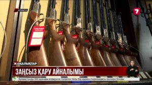 Қару иеленудің артында тұрған қауіп