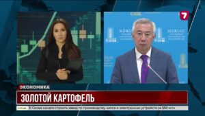 Картофель подорожал из-за неурожая и экспорта