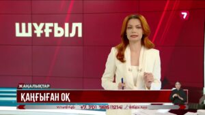 Шымкентте 11 жастағы балаға жебе тиді