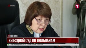 Аким в суде за сорванные тюльпаны: выездное заседание