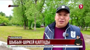 Петропавлда маса мен шыбын-шіркей көбейді