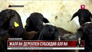 Ветеринарлар мемлекетке 271 млн теңге шығын келтірді