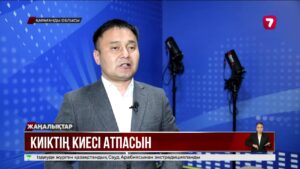 Қарағанды тасжолында жеңіл көлік киіктермен соқтығысты