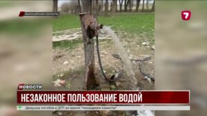 В Жамбылской области выявили около 400 бесхозных скважин, ежедневно теряются миллионы литров воды