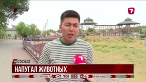 В Шымкенте 17-летний хулиган напугал животных в зоопарке, ударив страуса и нарушив правила