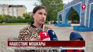 Петропавловск страдает от нашествия комаров и мух