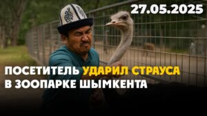 Посетитель ударил страуса в зоопарке Шымкента | 27.05.2025