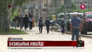 Бұзақылық бабының жазасын қатаңдату керек