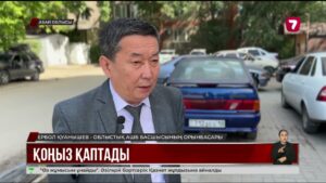 Абай облысында қоңыз қаптап кетті