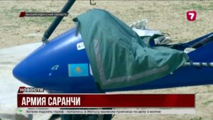 Саранча угрожает скотоводству в Кызылординской области