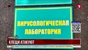 Клещи атакуют север Казахстана, более 400 укушенных