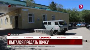 В Актобе задержан мужчина, пытавшийся продать почку за 15 миллионов тенге через соцсети