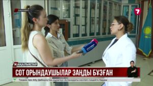 Шымкентте 148 сот орындаушысы заңды бұзған