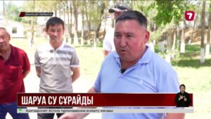 Жамбыл облысында егінге су тапшы