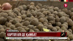 Биыл картоп қымбат болмайды