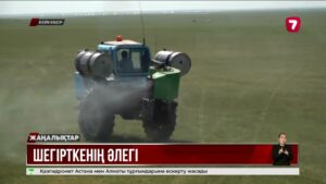 Шегірткені улауға бюджеттен 7 млрд теңге бөлінді