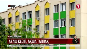 Ақтөбеде жасыл желекті аяусыз кесіп жатыр