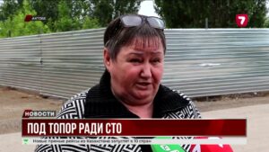 В Актобе бизнесмен вырубил более 20 деревьев ради автомойки, жители угрожают перекрыть дорогу