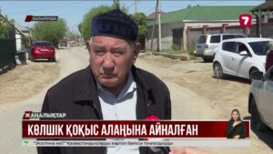 Қызылордадағы көлшік қоқыс алаңына айналған